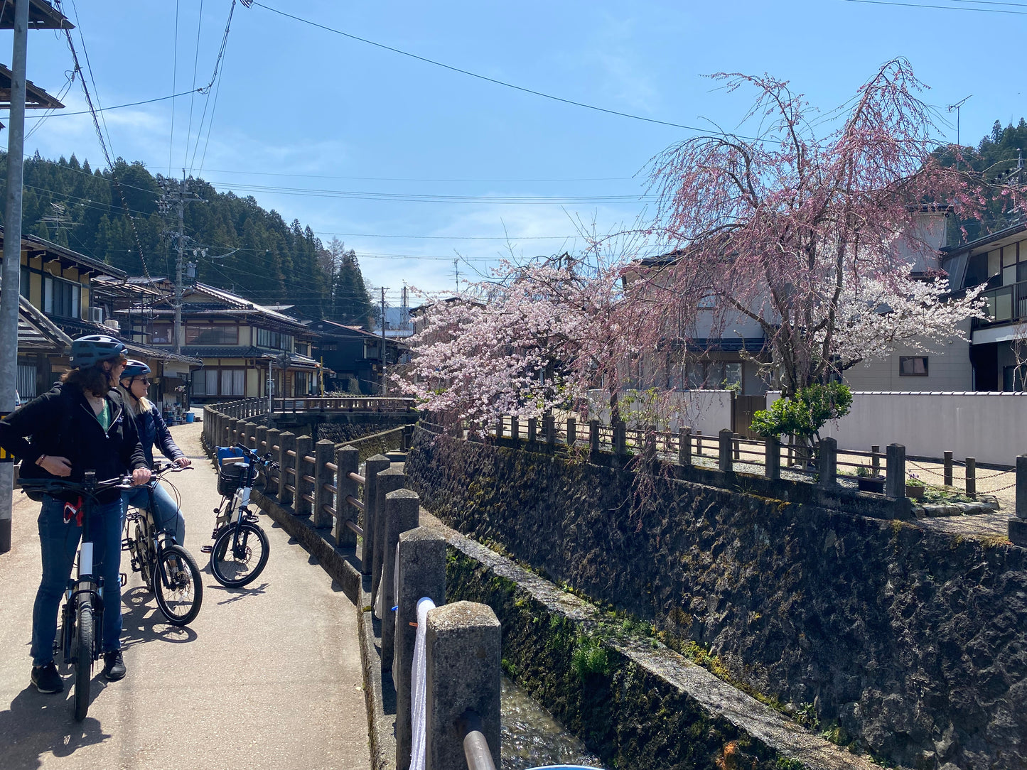 高山ウェルカムライド